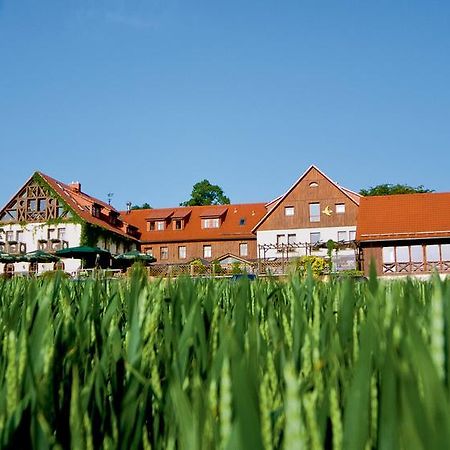 Hotel Neue Hoehe Klingenberg Bagian luar foto